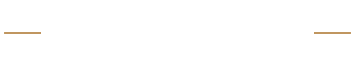 transparent logo